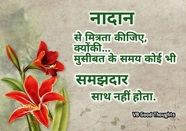 Good Thoughts In Hindi - Best Friendship Quote Images - मित्रता - दोस्ती सुविचार - vb good thoughts- mitra