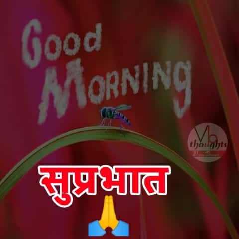 Top Best Good Morning Suvichar Status - गुड मॉर्निंग कोट्स हिंदी में - vb - सुप्रभात सुविचार 